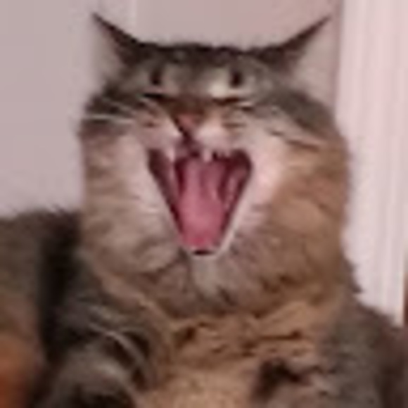 Meet your Posher, Rhonda - Picture 1 of 1